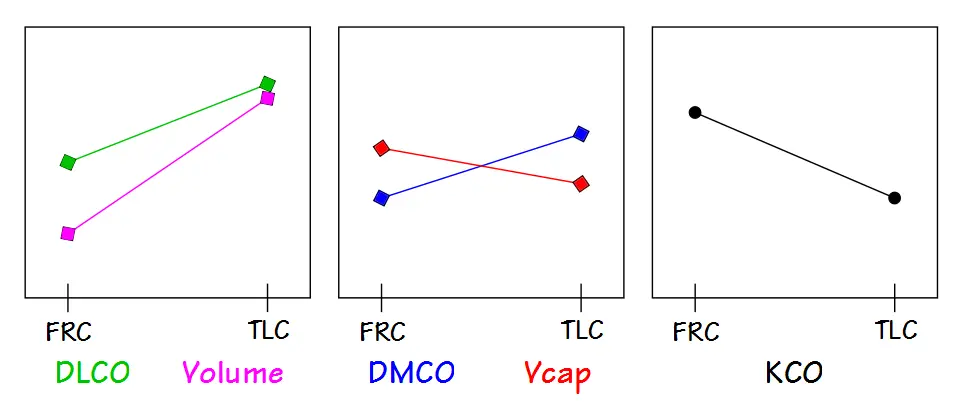 DLVA_Graphs