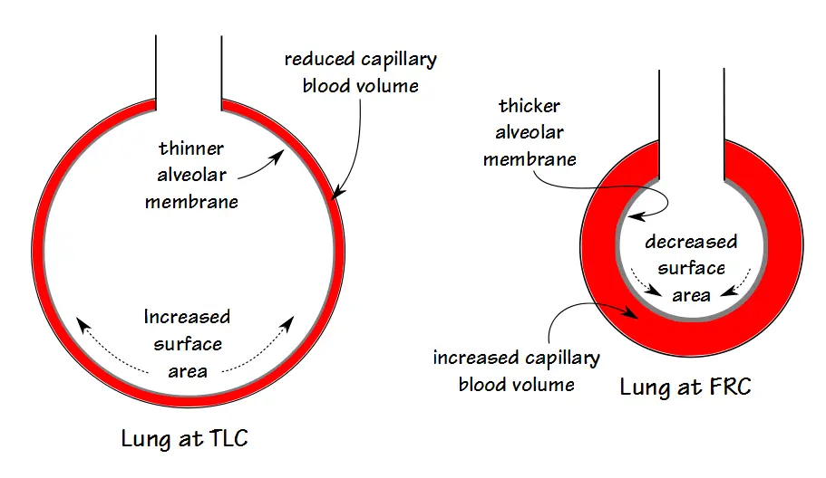 DLVA_Volume