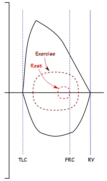 Exercise_FVL_Normal