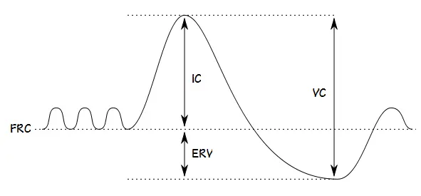 FRC IC ERV VC