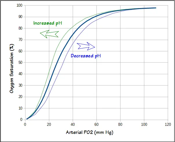 O2 Dissociation pH