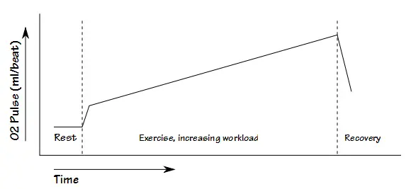 O2 Pulse Time Course