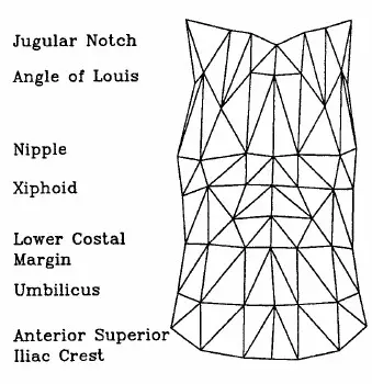 OEP_Triangular_Mesh
