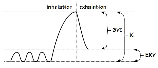 An SVC maneuver with an incomplete exhalation.