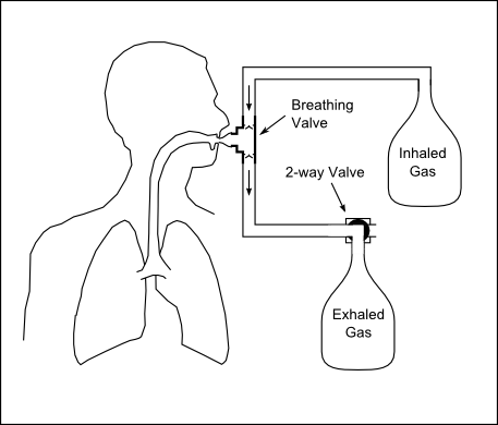 Steady_State_Generic_System_1