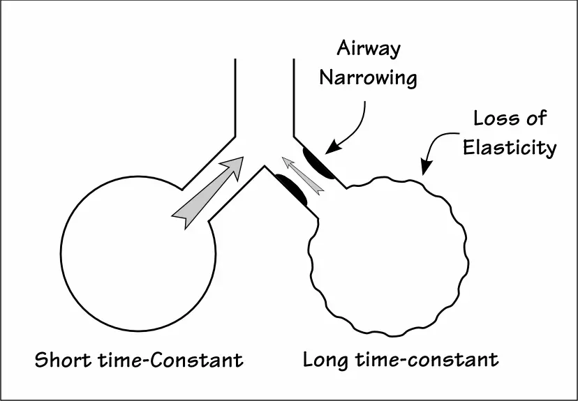 Time Constants